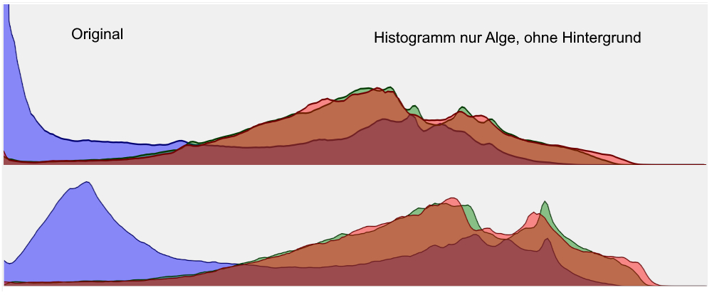 Algen Histogramm Vergleich.jpg